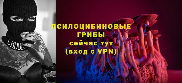 мдпв Гусь-Хрустальный