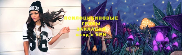 мдпв Гусь-Хрустальный