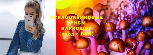 мдпв Гусь-Хрустальный