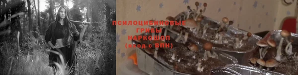 мдпв Гусь-Хрустальный