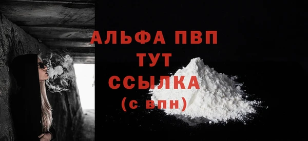 мдпв Гусь-Хрустальный