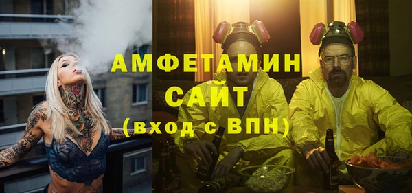 мдпв Гусь-Хрустальный