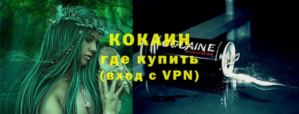 мдпв Гусь-Хрустальный